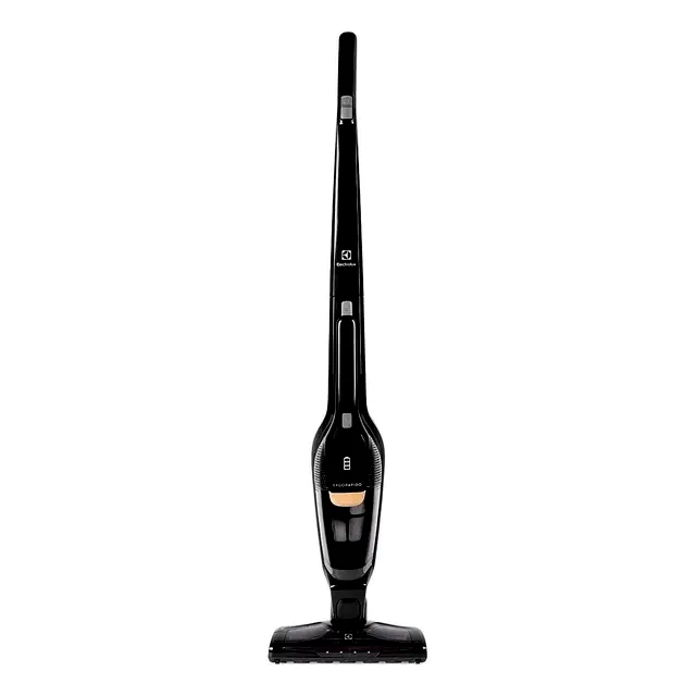 Electrolux Ergorapido ERG24N